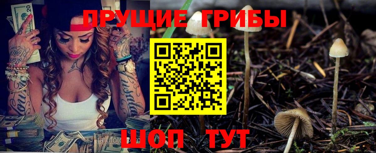 Хасавюрт  Псилоцибиновые грибы Magic Shrooms  Вход с VPN 