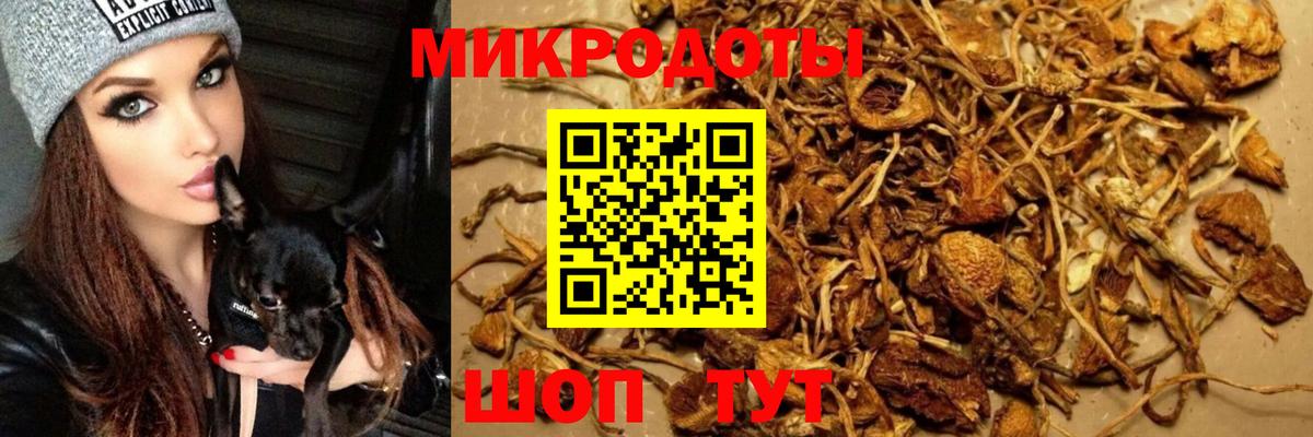 Галлюциногенные грибы Хасавюрт